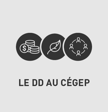 Le DD au Cégep