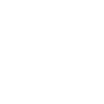 logo blanc des Vulkins